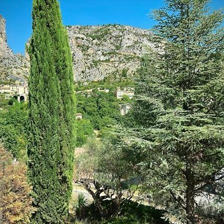 Grand Appartement En Face Du Village Moustiers-Sainte-Marie Ngoại thất bức ảnh